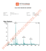 GHK-Cu 500mg (Copper Peptide) (Topical) - Image 4