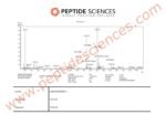 IGF-1 LR3 1mg - Image 4