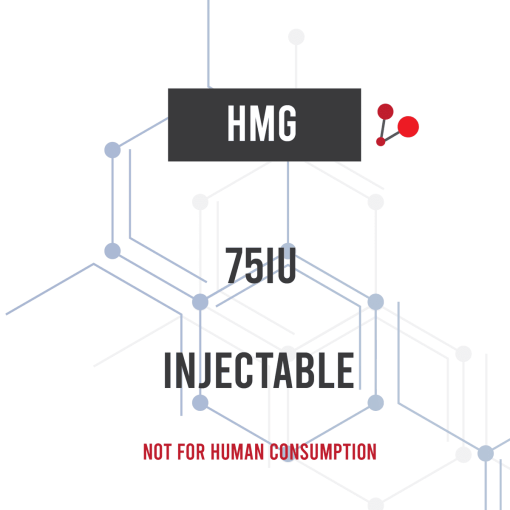 hmg.png HMG - Image 1