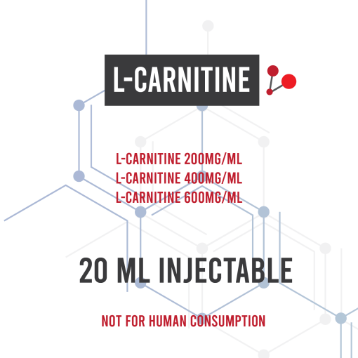 l-carnitine.png L-Carnitine - Image 1
