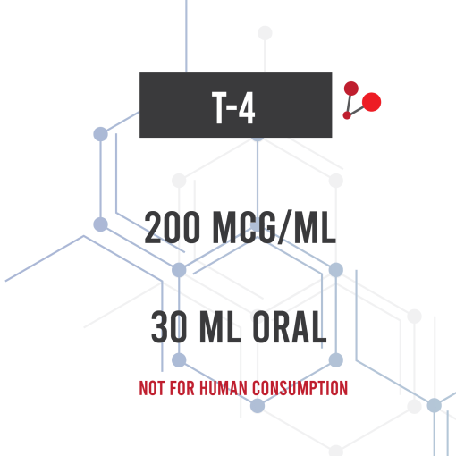 t4-200mcg-30ml.png T4 200MCG 30ML - Image 1